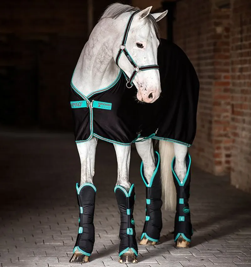 Horseware Amigo Jersey Cooler - Black/Teal/Cherry